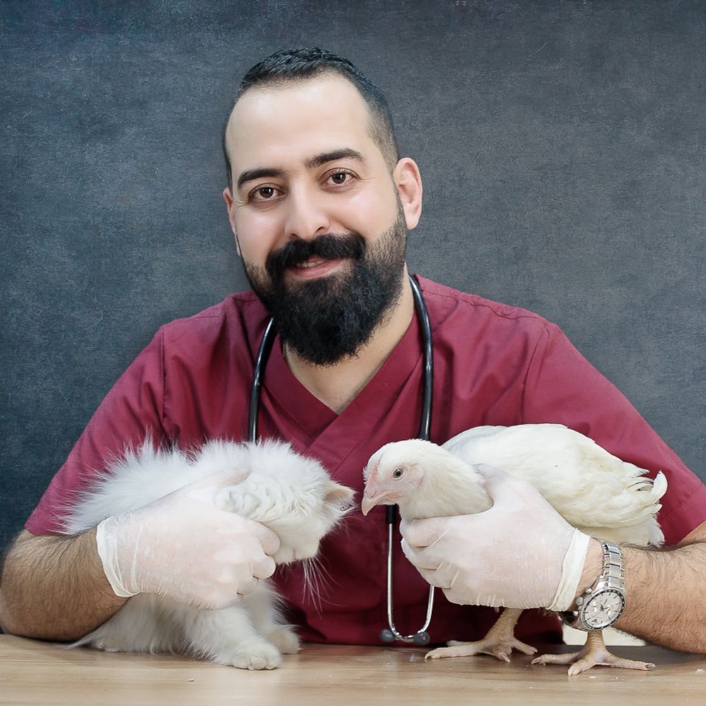 Dr. Michael Hayes