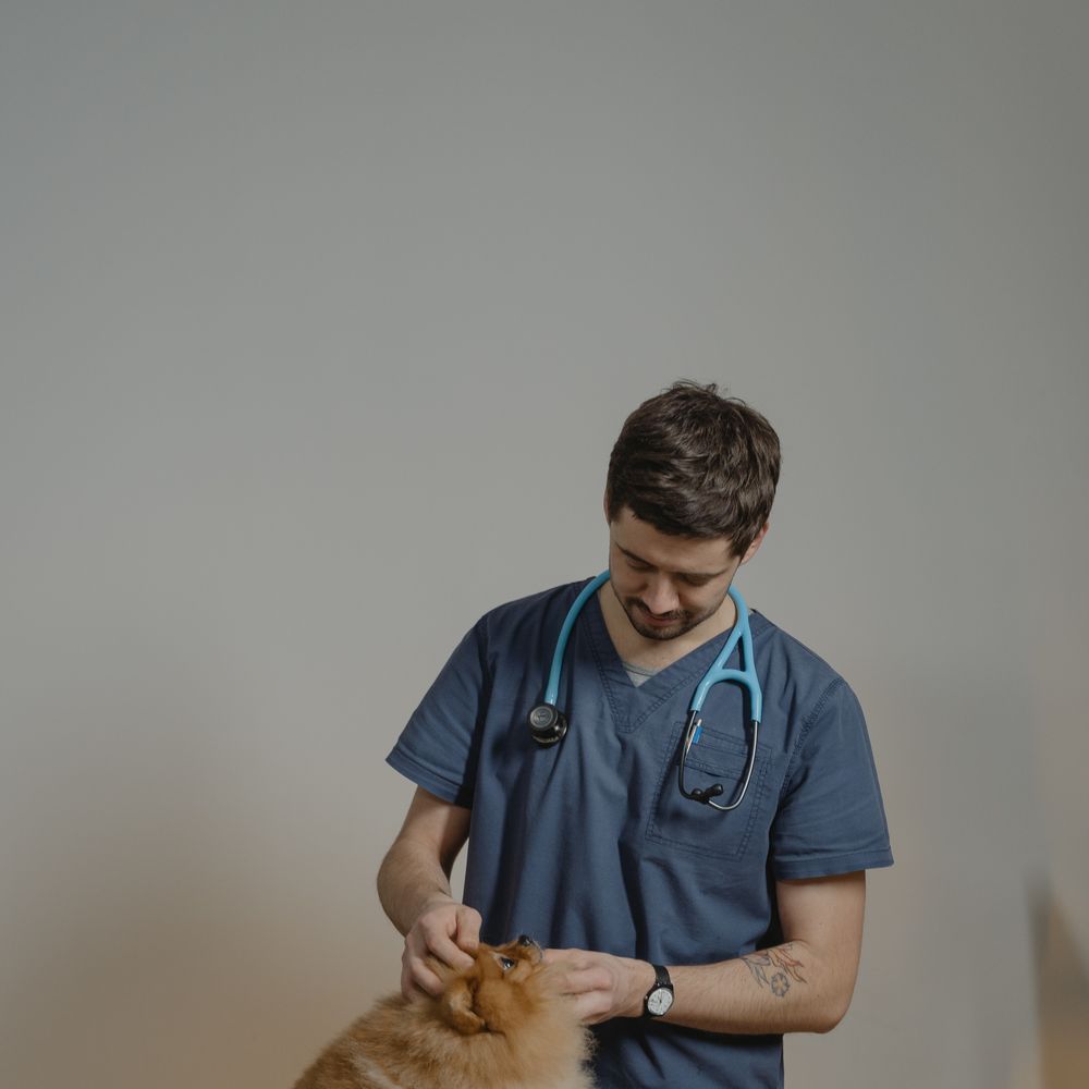 Dr. Amanda Lee